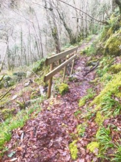 2025 12 21 13 21 55 977